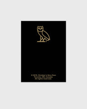 Load image into Gallery viewer, GOLD OWL PIN
