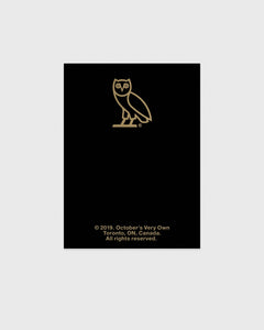 GOLD OWL PIN